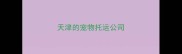 天津的宠物托运公司
