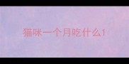猫咪一个月吃什么