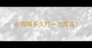 小狗隔多久打一次疫苗