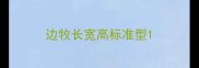边牧长宽高标准型