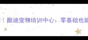 沈阳宠物学校推荐酷迪宠物培训中心零基础也能变宠物美容师