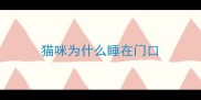 猫咪为什么睡在门口