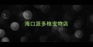 海口派多格宠物店