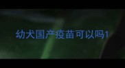 幼犬国产疫苗可以吗