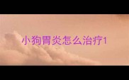 小狗胃炎怎么治疗