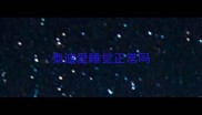 泰迪爱睡觉正常吗