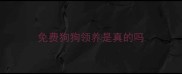 免费狗狗领养是真的吗