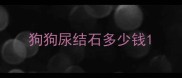 狗狗尿结石多少钱