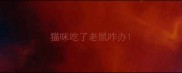 猫咪吃了老鼠咋办