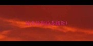 幼犬拉布拉多肠炎