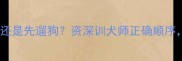 哈士奇先喂食还是先遛狗资深训犬师正确顺序附每日时间表