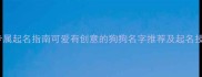 100个公泰迪专属起名指南可爱有创意的狗狗名字推荐及起名技巧最新版