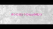 两个月到三个月哈士奇照片