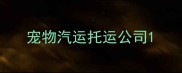 宠物汽运托运公司