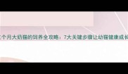 三个月大奶猫的饲养全攻略7大关键步骤让幼猫健康成长