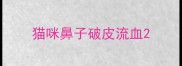 猫咪鼻子破皮流血