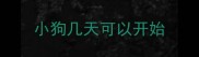 小狗几天可以开始