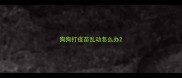 狗狗打疫苗乱动怎么办