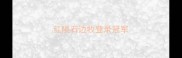 红陨石边牧登录冠军
