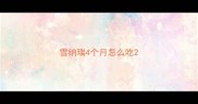 雪纳瑞4个月怎么吃