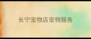 长宁宠物店宠物服务