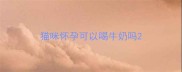 猫咪怀孕可以喝牛奶吗