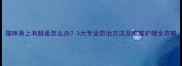 猫咪身上有跳蚤怎么办3大专业防治方法及家庭护理全攻略