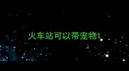 火车站可以带宠物