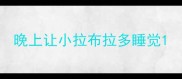 晚上让小拉布拉多睡觉