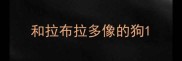 和拉布拉多像的狗