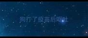 狗打了疫苗后呕吐
