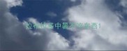 拉布拉多中暑不吃东西