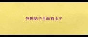 狗狗脑子里面有虫子