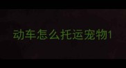 动车怎么托运宠物