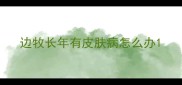 边牧长年有皮肤病怎么办