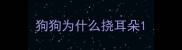 狗狗为什么挠耳朵