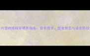 4个月雪纳瑞科学喂养指南营养需求饮食禁忌与成长阶段全