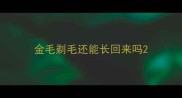 金毛剃毛还能长回来吗