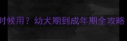 狗狗海藻粉什么时候用幼犬期到成年期全攻略附科学喂养指南