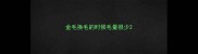 金毛换毛的时候毛量很少