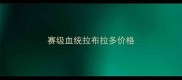 赛级血统拉布拉多价格