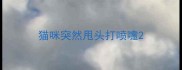 猫咪突然甩头打喷嚏
