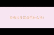 拉布拉多耳朵用什么洗