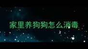家里养狗狗怎么消毒