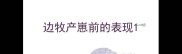 边牧产崽前的表现