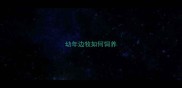 幼年边牧如何饲养
