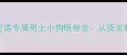 宠物造型师教你打造专属男士小狗眼卷发从烫发教程到造型搭配全