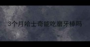 3个月哈士奇能吃磨牙棒吗