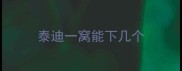 泰迪一窝能下几个
