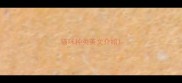 猫咪种类英文介绍